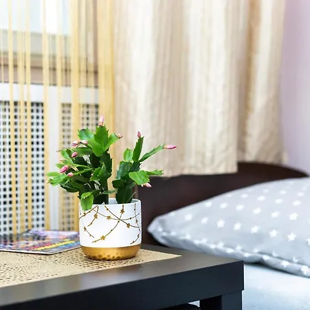 Ubytování v soukromí Piotrkowska 101