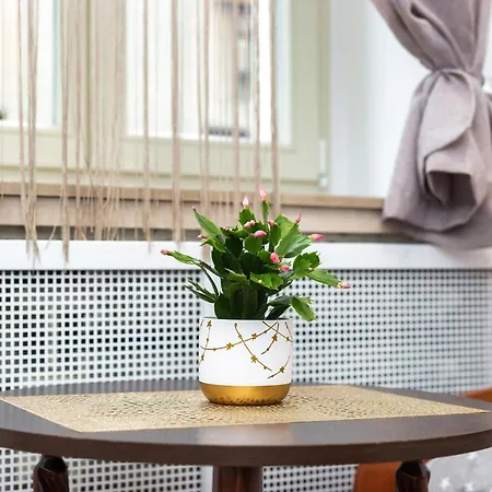 Homestay szállás Piotrkowska 101 *