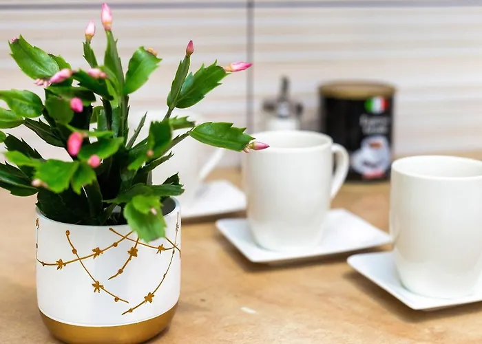 منزل للإقامة Piotrkowska 101 وودج